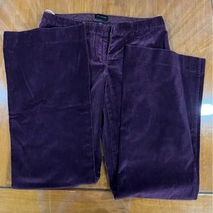 The Limited Velvet Pants